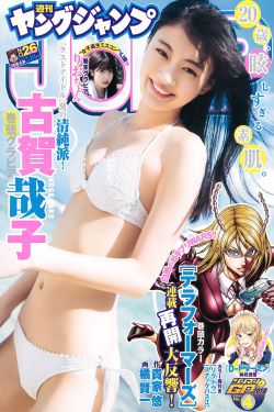 九霄龙帅第1集到120集