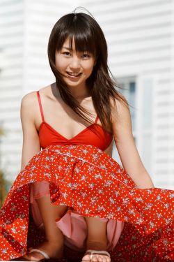 杨门女将电视剧