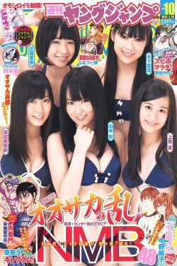 女医 明妃传电视剧
