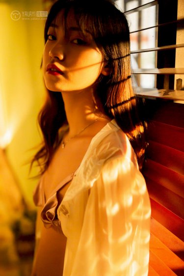 暗夜与黎明电视剧演员表
