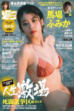 强者风范电视剧全集