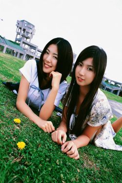赘婿免费在线观看