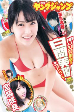 与狼共舞电视剧