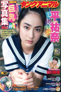延禧攻略湖南卫视