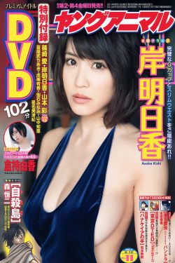 四海重明电视剧免费播放