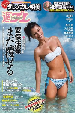 电视剧非缘勿扰剧情介绍