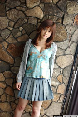 布谷鸟2012