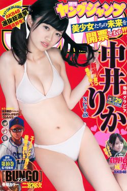 特种兵之霹雳火电视剧
