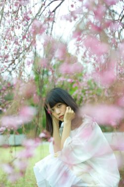 杨振宁