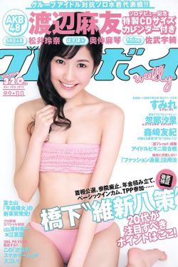 喜羊羊与灰太狼之决战次时代免费
