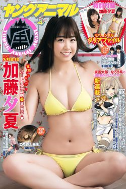 二婶电视剧全集